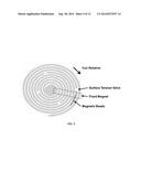 Low Resource Processor Using Surface Tension Valves for Extracting,     Concentrating, and Detecting Whole Cells diagram and image