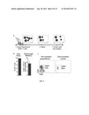 Low Resource Processor Using Surface Tension Valves for Extracting,     Concentrating, and Detecting Whole Cells diagram and image