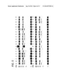 METHOD AND SYSTEM TO PREDICT SSRI RESPONSE diagram and image