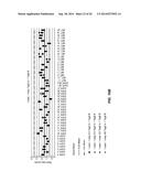 MULTI-PRIMER AMPLIFICATION METHOD FOR BARCODING OF TARGET NUCLEIC ACIDS diagram and image