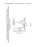 Blue Fluorescent Protein and Methods of Use Thereof diagram and image