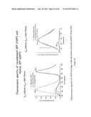 Blue Fluorescent Protein and Methods of Use Thereof diagram and image