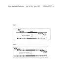 FETAL CHROMOSOMAL ANEUPLOIDY DIAGNOSIS diagram and image