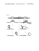 TRANS-SPLICING TRANSCRIPTOME PROFILING diagram and image