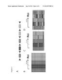 TRANS-SPLICING TRANSCRIPTOME PROFILING diagram and image