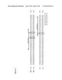 METHODS AND REAGENTS THAT SPECIFICALLY DETECT, DISTINGUISH AND QUANTIFY     IFN-LAMBDA2 mRNA FROM IFN-LAMBDA3 mRNA IN HUMANS diagram and image