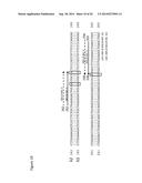 METHODS AND REAGENTS THAT SPECIFICALLY DETECT, DISTINGUISH AND QUANTIFY     IFN-LAMBDA2 mRNA FROM IFN-LAMBDA3 mRNA IN HUMANS diagram and image