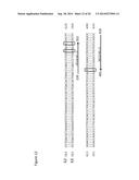 METHODS AND REAGENTS THAT SPECIFICALLY DETECT, DISTINGUISH AND QUANTIFY     IFN-LAMBDA2 mRNA FROM IFN-LAMBDA3 mRNA IN HUMANS diagram and image