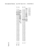 METHODS AND REAGENTS THAT SPECIFICALLY DETECT, DISTINGUISH AND QUANTIFY     IFN-LAMBDA2 mRNA FROM IFN-LAMBDA3 mRNA IN HUMANS diagram and image