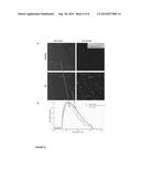 METHODS FOR ANALYZING BLOOD TO DETECT DISEASES ASSOCIATED WITH ABNORMAL     PROTEIN AGGREGATION diagram and image