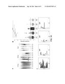 BIOMARKERS FOR MULTIPLE SCLEROSIS diagram and image