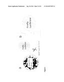 ASSAY FOR CLOSTRIDIUM BOTULINUM NEUROTOXIN diagram and image