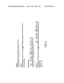 TRANSCRIPT OPTIMIZED EXPRESSION ENHANCEMENT FOR HIGH-LEVEL PRODUCTION OF     PROTEINS AND PROTEIN DOMAINS diagram and image