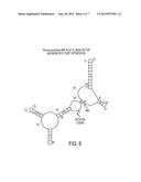 TRANSCRIPT OPTIMIZED EXPRESSION ENHANCEMENT FOR HIGH-LEVEL PRODUCTION OF     PROTEINS AND PROTEIN DOMAINS diagram and image