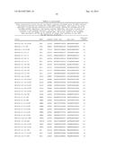 TRANSCRIPT OPTIMIZED EXPRESSION ENHANCEMENT FOR HIGH-LEVEL PRODUCTION OF     PROTEINS AND PROTEIN DOMAINS diagram and image