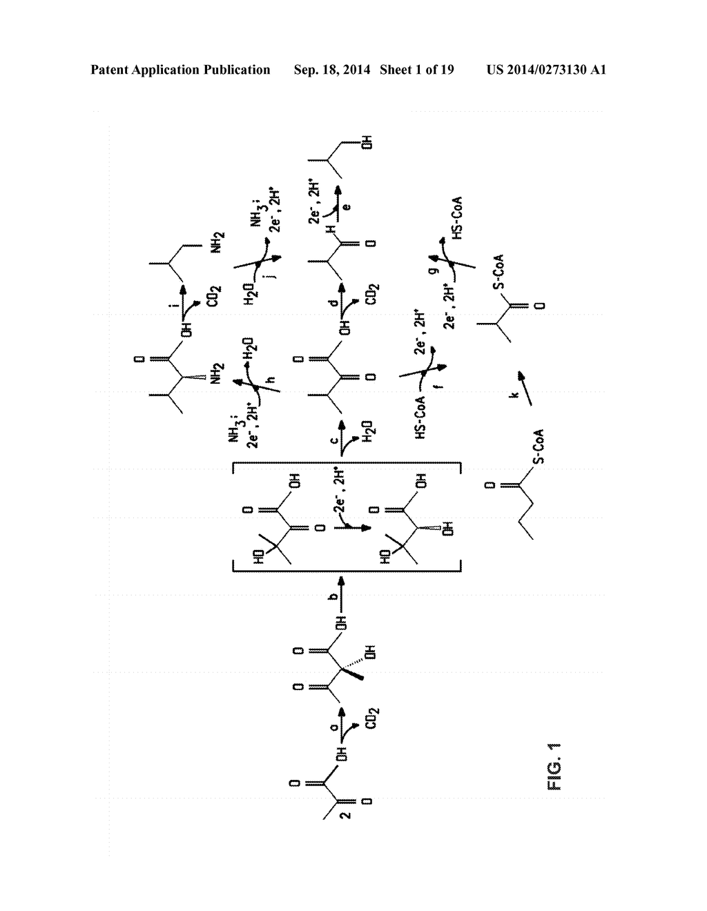 COMPETITIVE GROWTH AND/OR PRODUCTION ADVANTAGE FOR BUTANOLOGEN     MICROORGANISM - diagram, schematic, and image 02