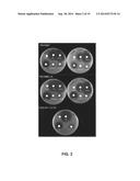 COMPETITIVE GROWTH AND/OR PRODUCTION ADVANTAGE FOR BUTANOLOGEN     MICROORGANISM diagram and image