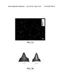 IMAGE ANALYSIS AND MEASUREMENT OF BIOLOGICAL SAMPLES diagram and image