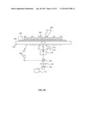 IMAGE ANALYSIS AND MEASUREMENT OF BIOLOGICAL SAMPLES diagram and image