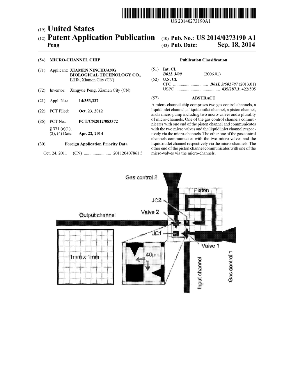 MICRO-CHANNEL CHIP - diagram, schematic, and image 01