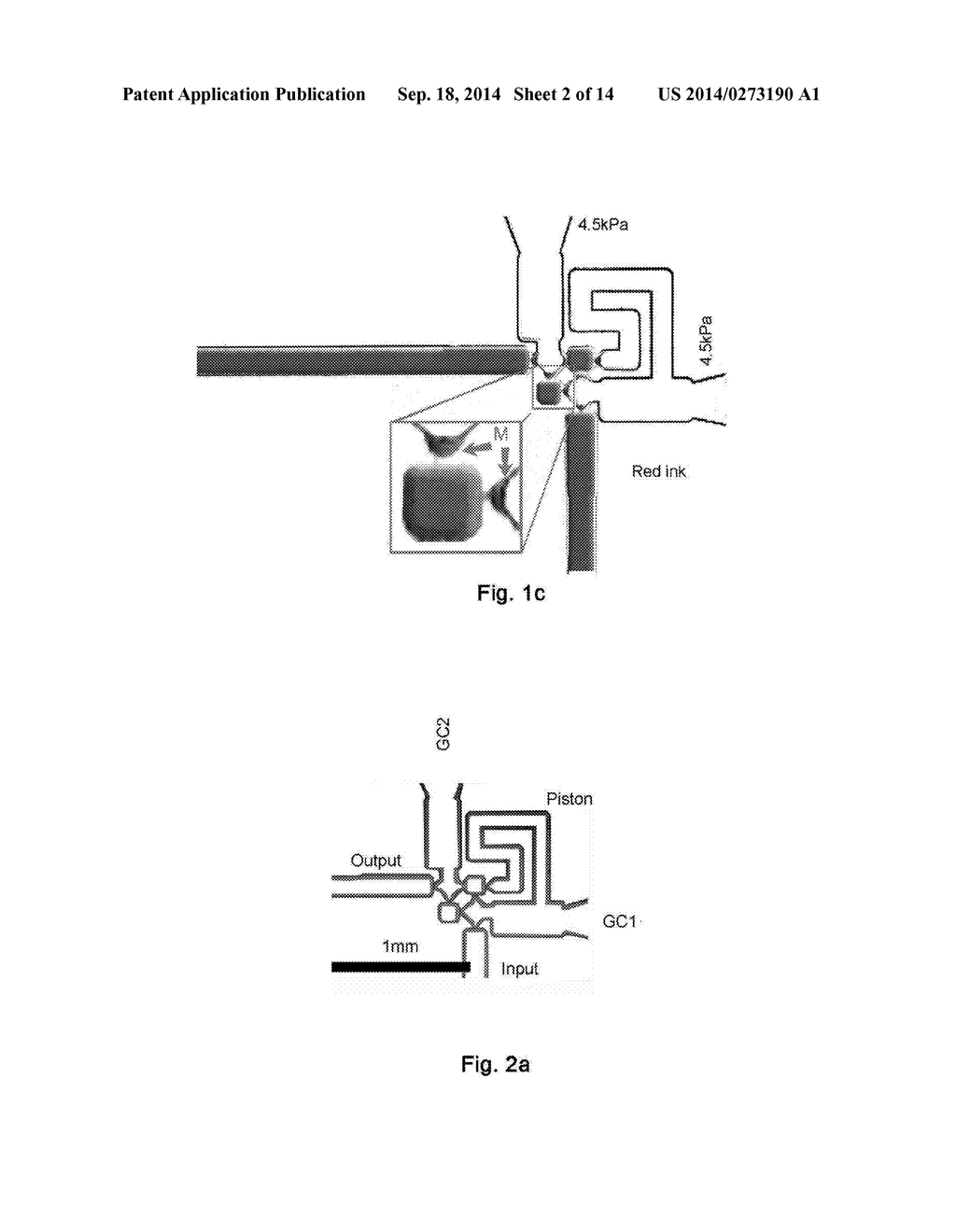 MICRO-CHANNEL CHIP - diagram, schematic, and image 03