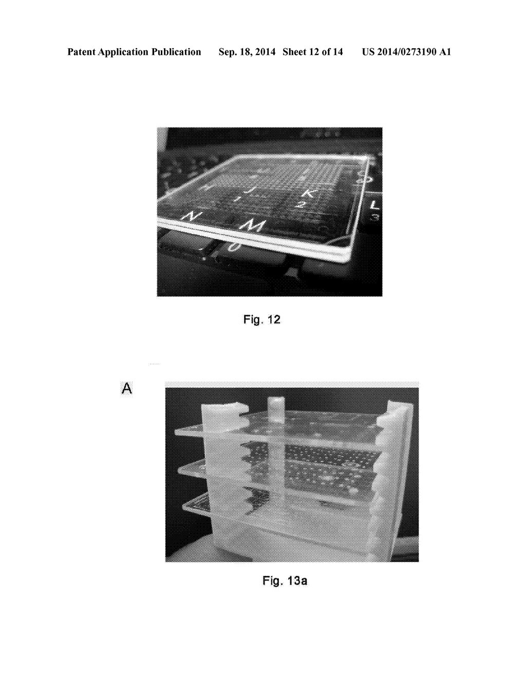 MICRO-CHANNEL CHIP - diagram, schematic, and image 13