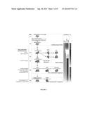 Methods and Materials for Hematoendothelial Differentiation of Human     Pluripotent Stem Cells Under Defined Conditions diagram and image