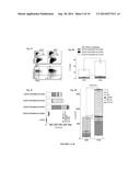 Methods and Materials for Hematoendothelial Differentiation of Human     Pluripotent Stem Cells Under Defined Conditions diagram and image