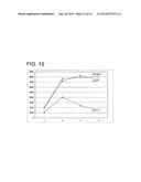 CONSERVED HBV AND HCV SEQUENCES USEFUL FOR GENE SILENCING diagram and image