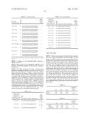 CONSERVED HBV AND HCV SEQUENCES USEFUL FOR GENE SILENCING diagram and image