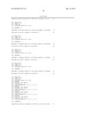 CONSERVED HBV AND HCV SEQUENCES USEFUL FOR GENE SILENCING diagram and image