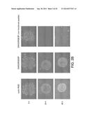 SUBSTRATES FOR GENERATION OF CONTROLLED HUMAN PLURIPOTENT STEM CELL COLONY     SIZE AND SHAPE diagram and image