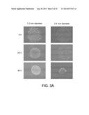 SUBSTRATES FOR GENERATION OF CONTROLLED HUMAN PLURIPOTENT STEM CELL COLONY     SIZE AND SHAPE diagram and image