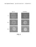 SUBSTRATES FOR GENERATION OF CONTROLLED HUMAN PLURIPOTENT STEM CELL COLONY     SIZE AND SHAPE diagram and image