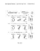 ENGINEERING OF SYSTEMS, METHODS AND OPTIMIZED GUIDE COMPOSITIONS FOR     SEQUENCE MANIPULATION diagram and image