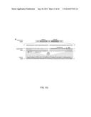 ENGINEERING OF SYSTEMS, METHODS AND OPTIMIZED GUIDE COMPOSITIONS FOR     SEQUENCE MANIPULATION diagram and image