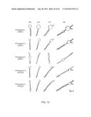 ENGINEERING OF SYSTEMS, METHODS AND OPTIMIZED GUIDE COMPOSITIONS FOR     SEQUENCE MANIPULATION diagram and image