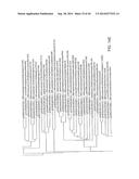 ENGINEERING OF SYSTEMS, METHODS AND OPTIMIZED GUIDE COMPOSITIONS FOR     SEQUENCE MANIPULATION diagram and image