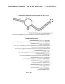 ENGINEERING OF SYSTEMS, METHODS AND OPTIMIZED GUIDE COMPOSITIONS FOR     SEQUENCE MANIPULATION diagram and image