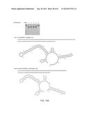 ENGINEERING OF SYSTEMS, METHODS AND OPTIMIZED GUIDE COMPOSITIONS FOR     SEQUENCE MANIPULATION diagram and image