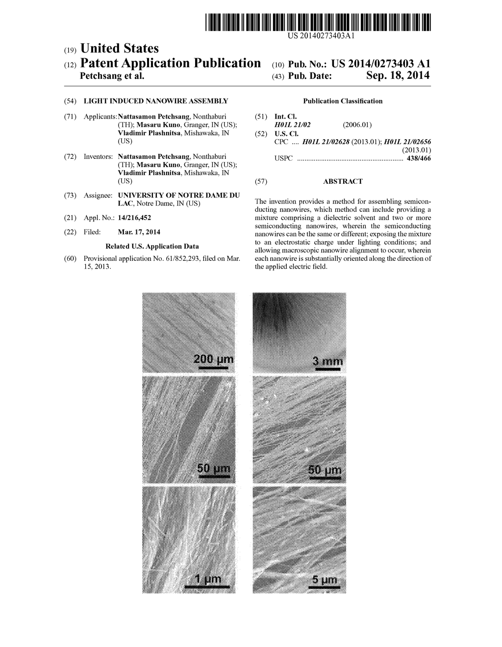 LIGHT INDUCED NANOWIRE ASSEMBLY - diagram, schematic, and image 01