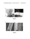 LIGHT INDUCED NANOWIRE ASSEMBLY diagram and image