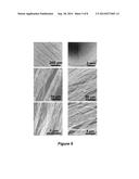 LIGHT INDUCED NANOWIRE ASSEMBLY diagram and image