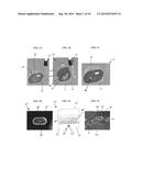 Impact Indication and Data Tracking Devices and Methods diagram and image