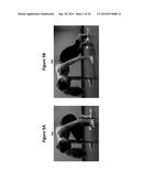 Belt-Based System for Strengthening Muscles diagram and image