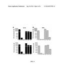 CHLAMYDIA-SPECIFIC CD8+ T CELLS AND METHODS OF ISOLATING diagram and image