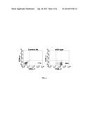 CHLAMYDIA-SPECIFIC CD8+ T CELLS AND METHODS OF ISOLATING diagram and image