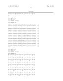 INFLUENZA VIRUS REASSORTMENT diagram and image