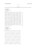 INFLUENZA VIRUS REASSORTMENT diagram and image