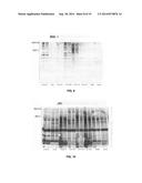 CARIES RISK TEST FOR PREDICTING AND ASSESSING THE RISK OF DISEASE diagram and image